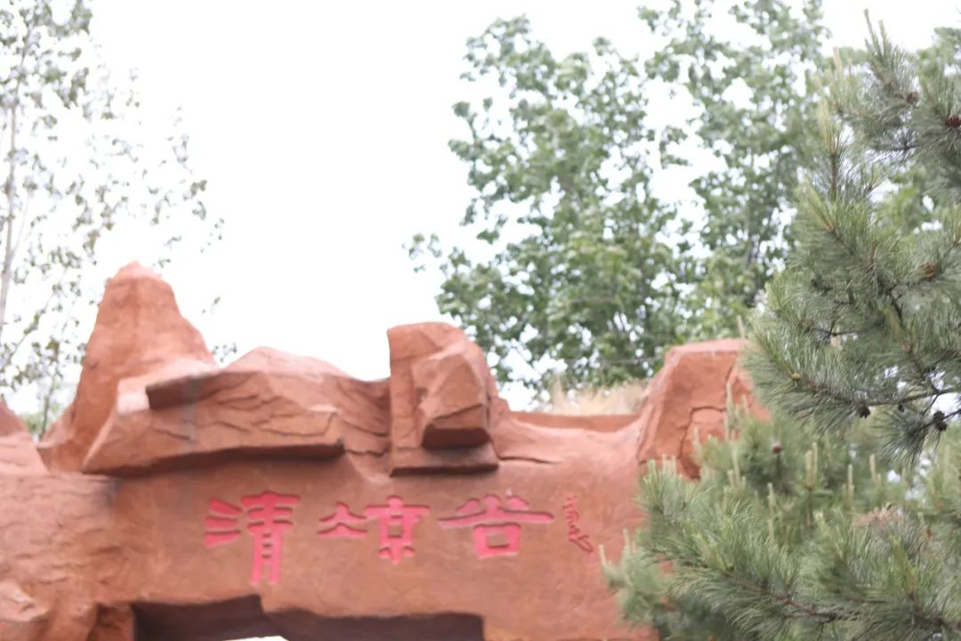 立足當“夏”，覓清涼 